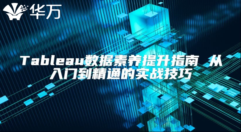 Tableau数据素养提升指南 从入门到精通的实战技巧