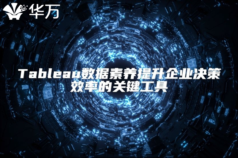 Tableau数据素养提升企业决策效率的关键工具