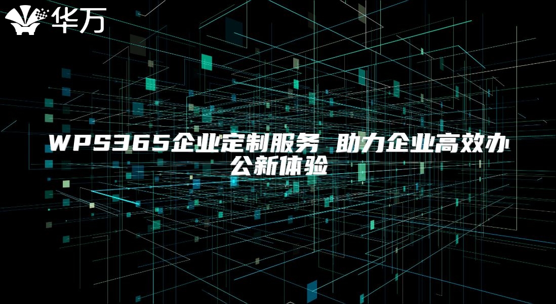 WPS365企业定制服务 助力企业高效办公新体验
