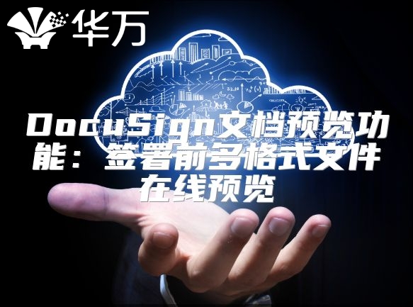 DocuSign文档预览功能：签署前多格式文件在线预览
