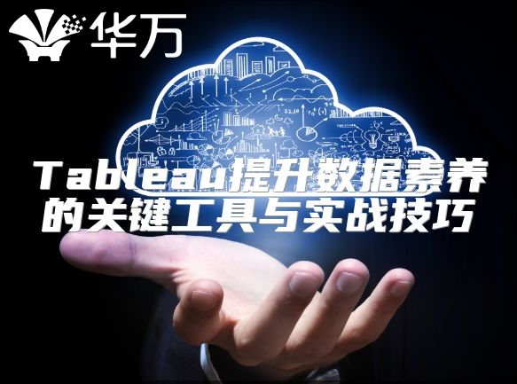Tableau提升数据素养的关键工具与实战技巧