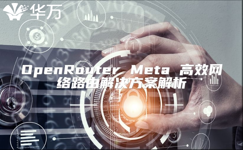 OpenRouter Meta 高效网络路由解决方案解析