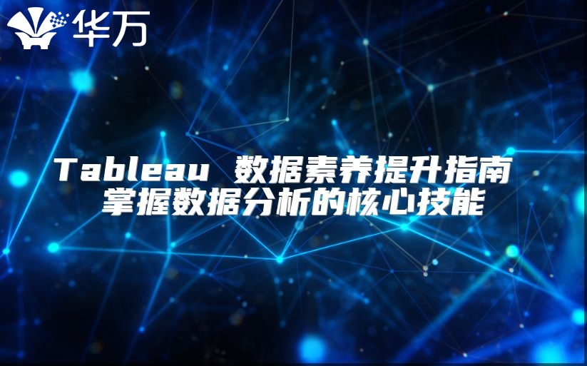 Tableau 数据素养提升指南 掌握数据分析的核心技能
