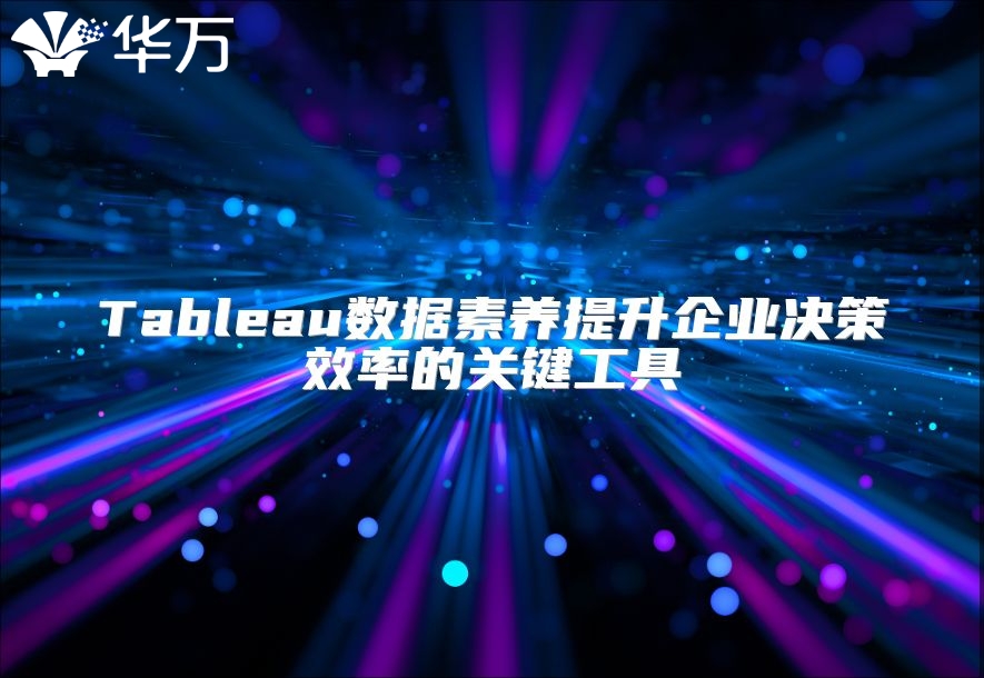 Tableau数据素养提升企业决策效率的关键工具