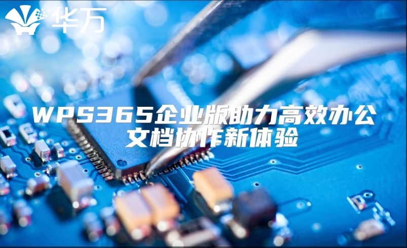 WPS365企业版助力高效办公 文档协作新体验