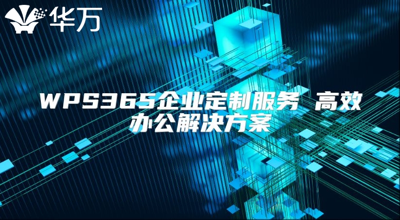 WPS365企业定制服务 高效办公解决方案
