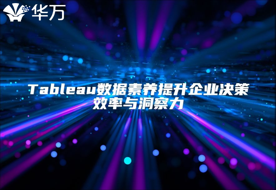 Tableau数据素养提升企业决策效率与洞察力