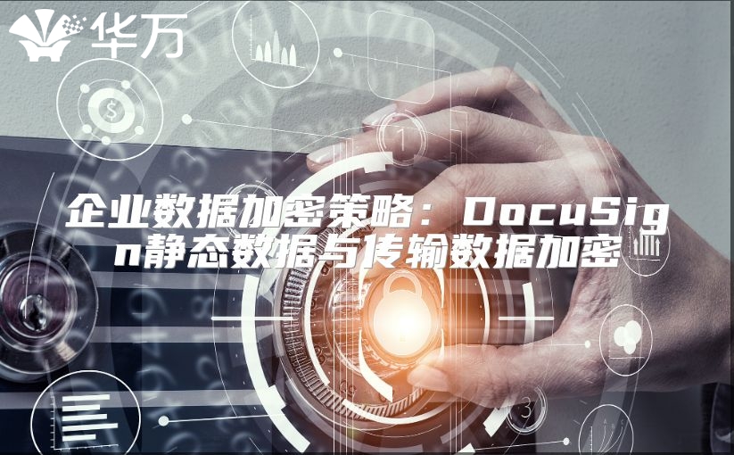 企业数据加密策略：DocuSign静态数据与传输数据加密