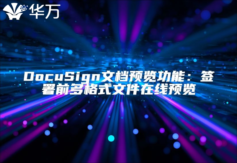 DocuSign文档预览功能：签署前多格式文件在线预览
