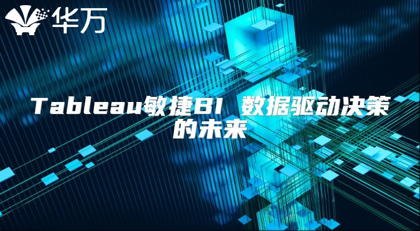 Tableau敏捷BI 数据驱动决策的未来