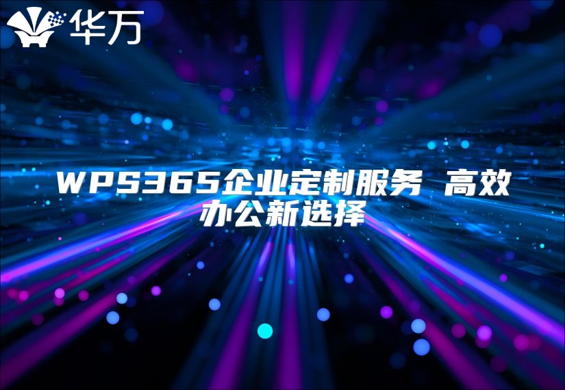 WPS365企业定制服务 高效办公新选择