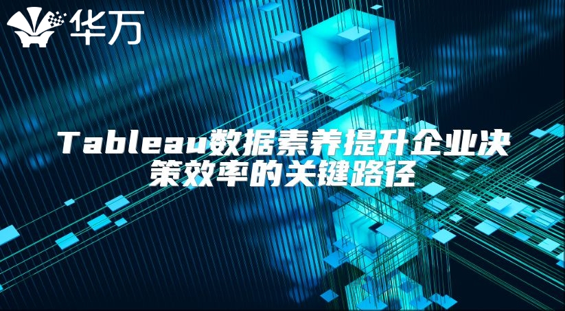 Tableau数据素养提升企业决策效率的关键路径