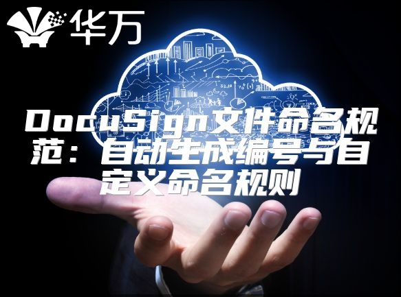 DocuSign文件命名规范：自动生成编号与自定义命名规则