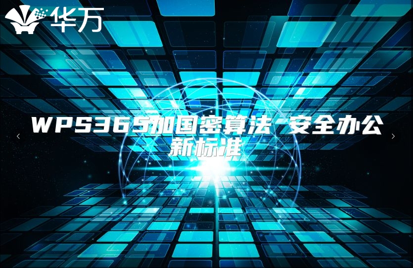 WPS365加国密算法 安全办公新标准