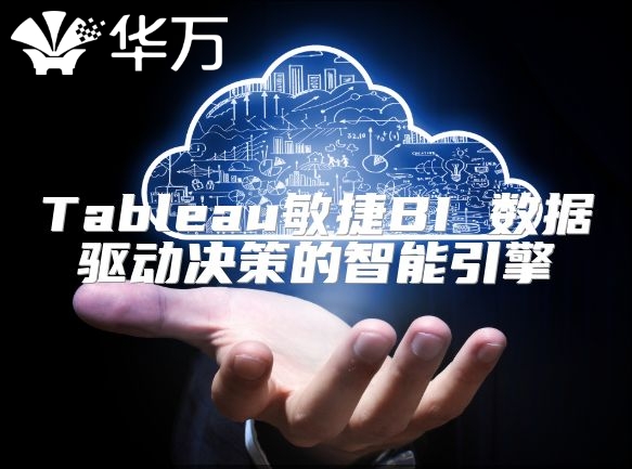 Tableau敏捷BI 数据驱动决策的智能引擎