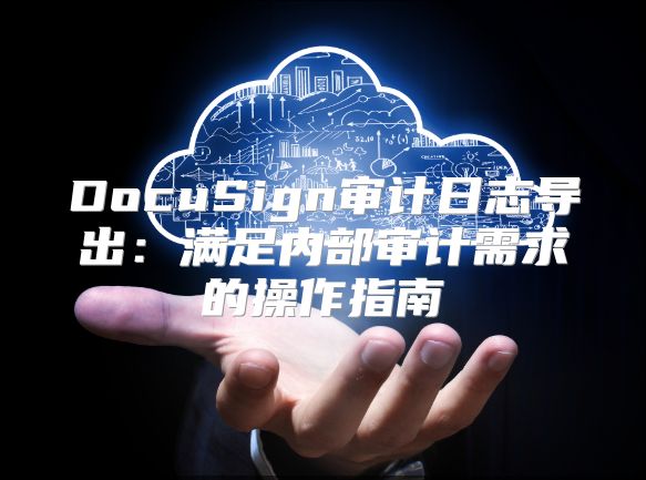 DocuSign审计日志导出：满足内部审计需求的操作指南