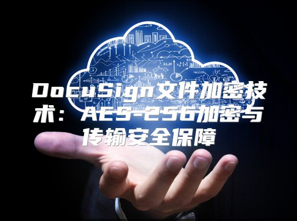 DocuSign文件加密技术：AES-256加密与传输安全保障