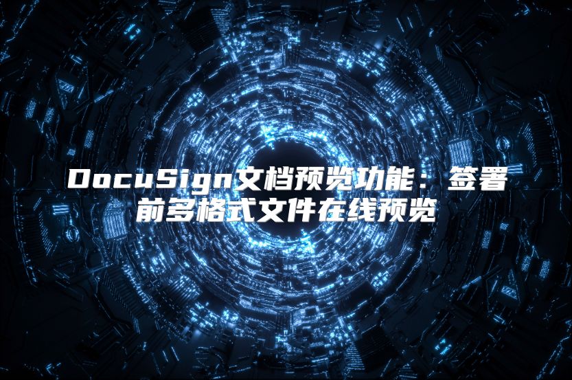 DocuSign文档预览功能：签署前多格式文件在线预览