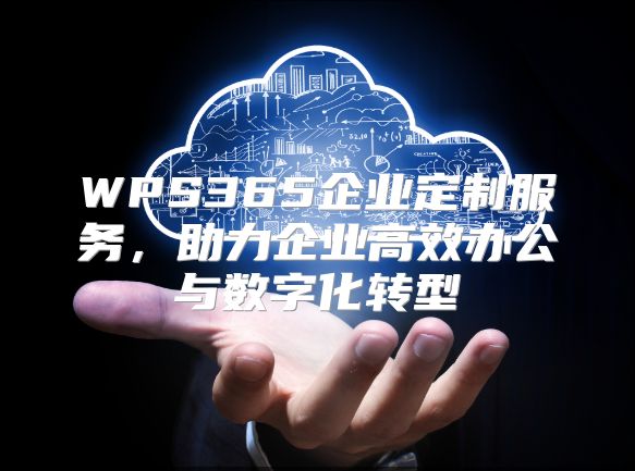 WPS365企业定制服务，助力企业高效办公与数字化转型