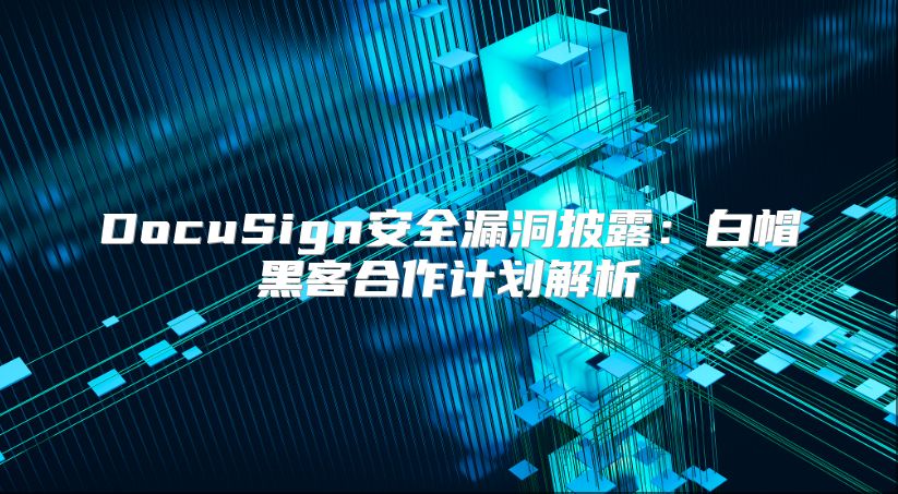 DocuSign安全漏洞披露：白帽黑客合作计划解析