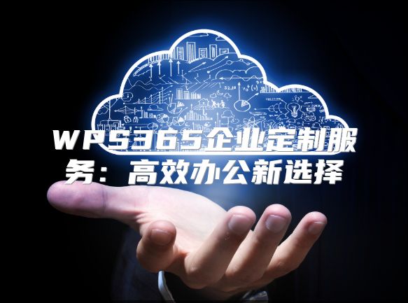 WPS365企业定制服务：高效办公新选择