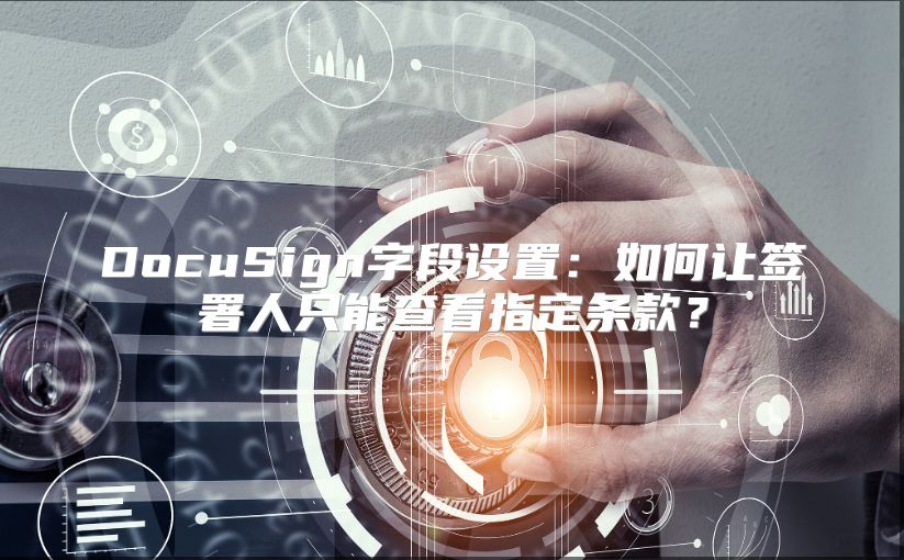 DocuSign字段设置：如何让签署人只能查看指定条款？