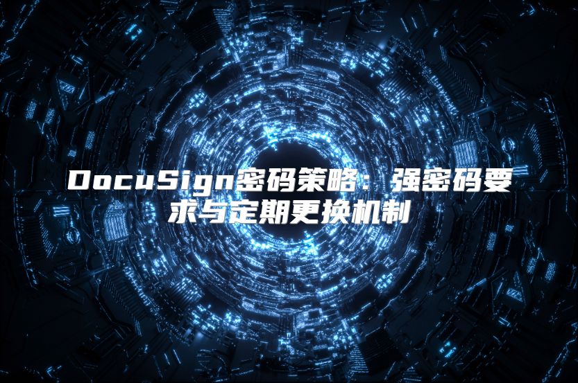 DocuSign密码策略：强密码要求与定期更换机制