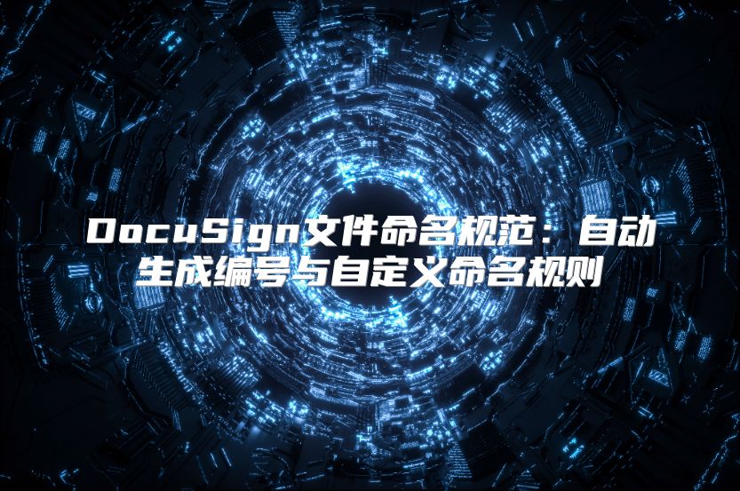 DocuSign文件命名规范：自动生成编号与自定义命名规则